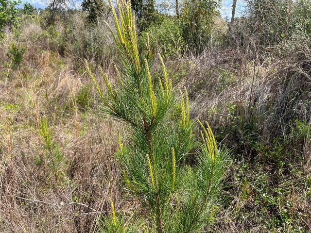 1 Fm 2827, Warren, TX 77664