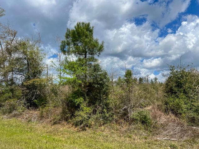 1 Fm 2827, Warren, TX 77664