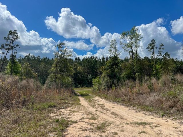 1 Fm 2827, Warren, TX 77664