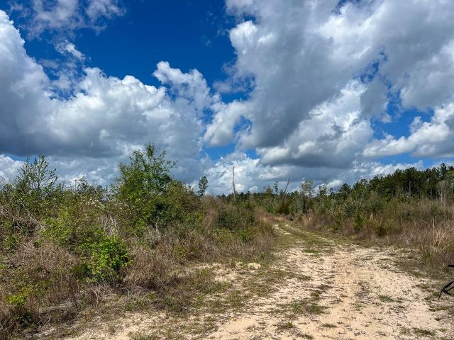 1 Fm 2827, Warren, TX 77664