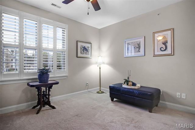 1151 Mill Crossing Drive 205, St Louis, MO 63141