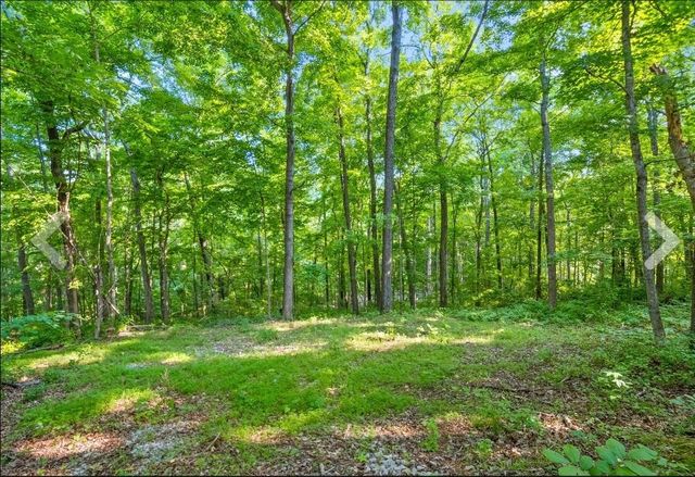 1 Ferry Rd, Clarksville, TN 37040