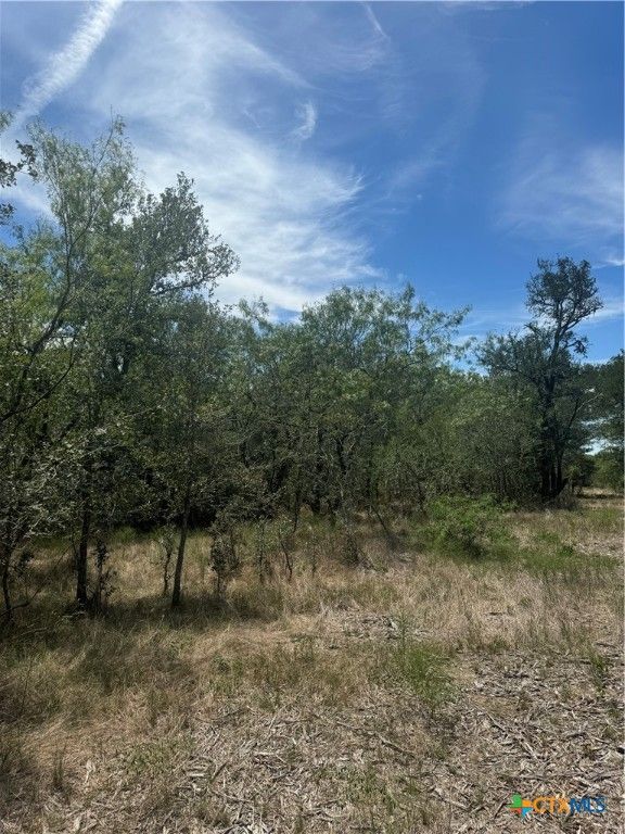 120 Baylen Clifton Lane, Lockhart, TX 78644