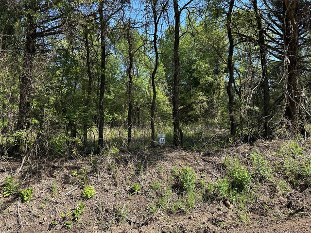 Tract 13 County Road 2951, Honey Grove, TX 75446