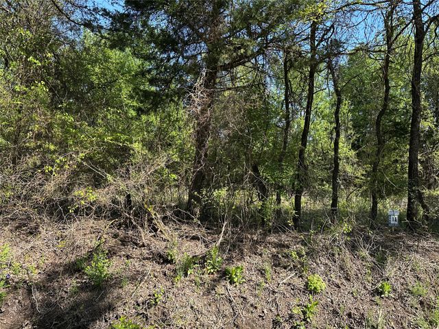 Tract 13 County Road 2951, Honey Grove, TX 75446