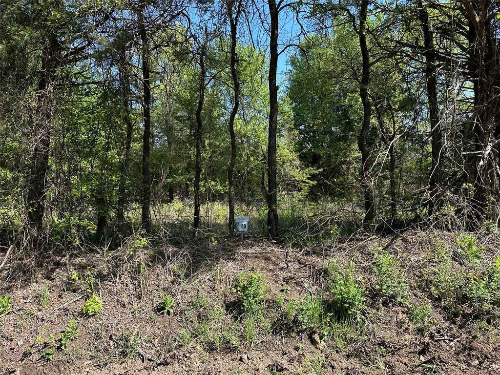 Tract 13 County Road 2951, Honey Grove, TX 75446