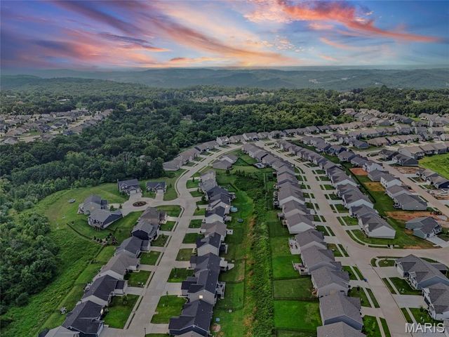 101 Brookmanns Place Court, Imperial, MO 63052