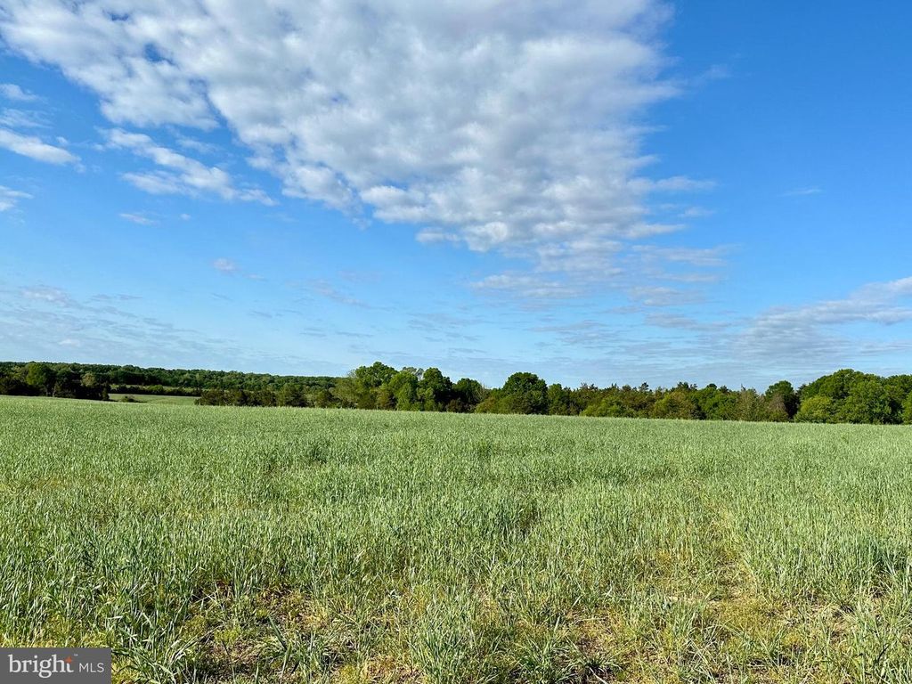 LOT 1-12 ZACHARY TAYLOR HWY, Unionville, VA 22567