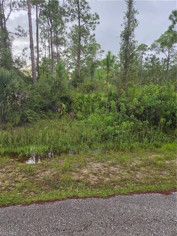2303 Truman AVE, ALVA, FL 33920 — exterior
