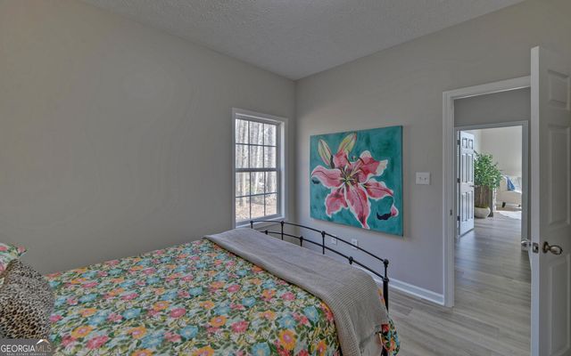 1152 Bert Moorhead Road, Canon, GA 30520