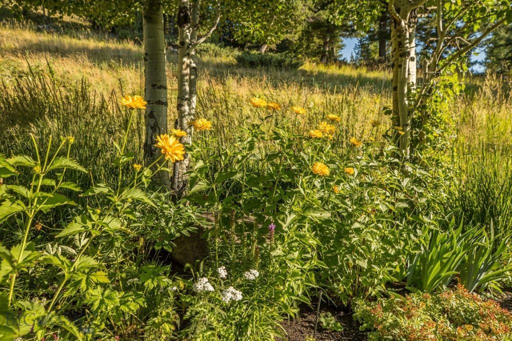 141 Black Wolf Ridge, Big Sky, MT 59730 photo 55