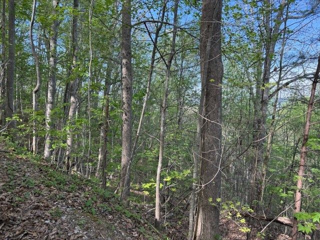 00 Mining Gap Road, Young Harris, GA 30582