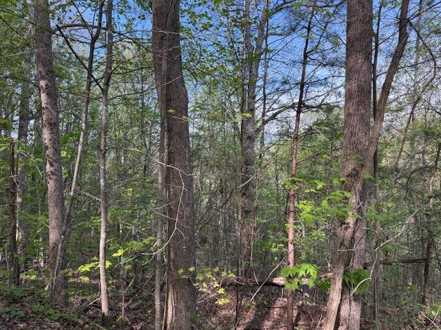 00 Mining Gap Road, Young Harris, GA 30582