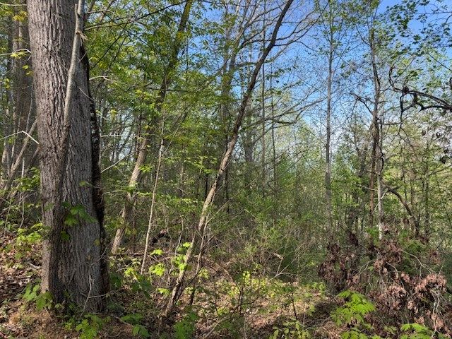 00 Mining Gap Road, Young Harris, GA 30582