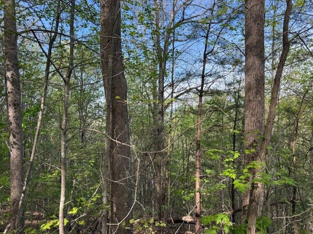 00 Mining Gap Road, Young Harris, GA 30582