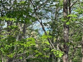 00 Mining Gap Road, Young Harris, GA 30582