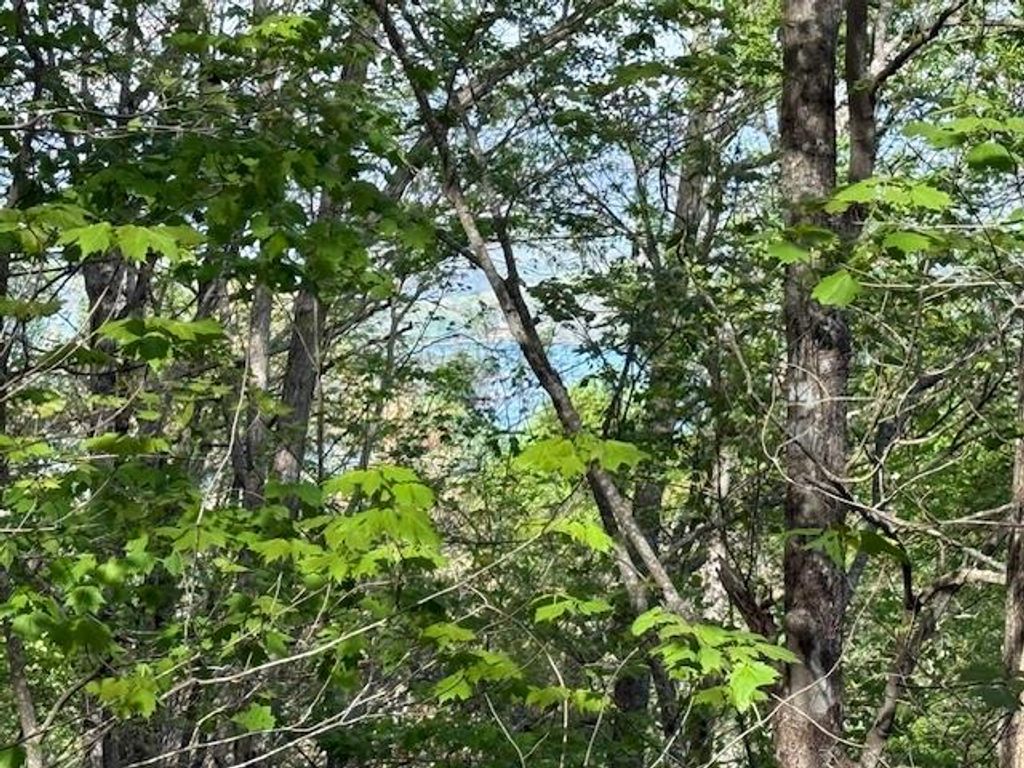 00 Mining Gap Road, Young Harris, GA 30582