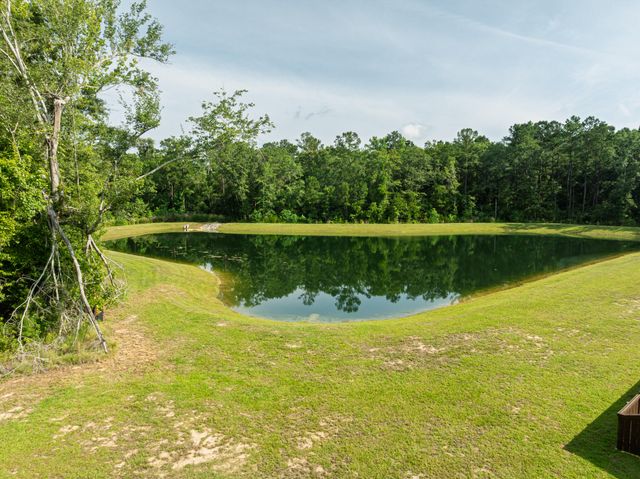 307 Green Fern Drive, Summerville, SC 29483