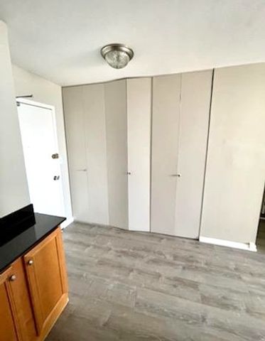 1355 N Sandburg Terrace 1207D, Chicago, IL 60610