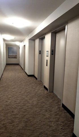 1355 N Sandburg Terrace 1207D, Chicago, IL 60610