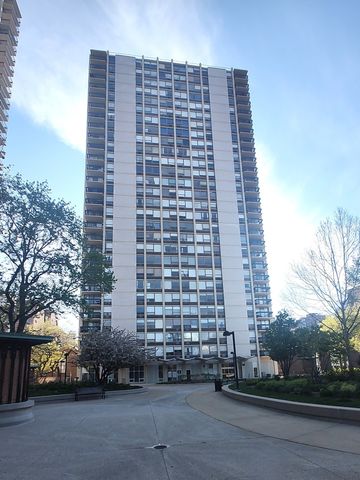 1355 N Sandburg Terrace 1207D, Chicago, IL 60610