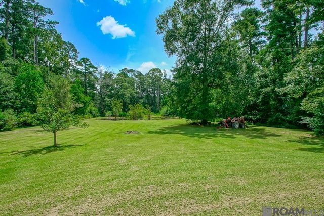 32416 Briarwood Rd, Walker, LA 70785