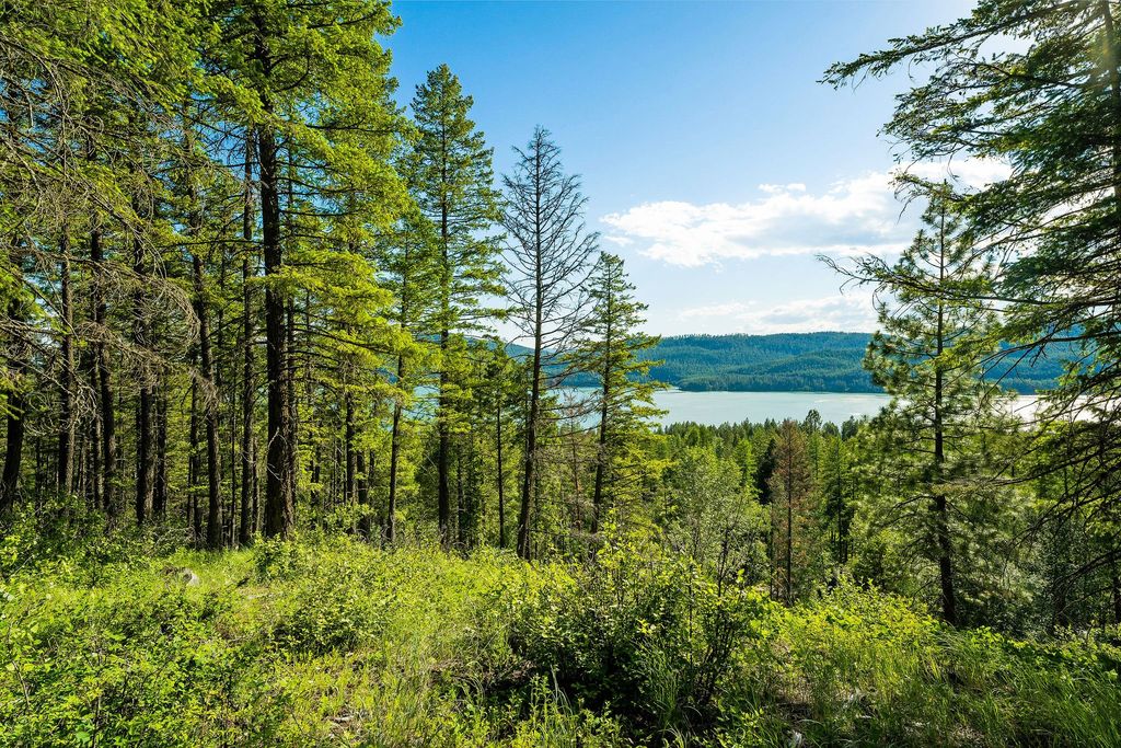 2750 Big Mountain Road, Whitefish, MT 59937 photo 104