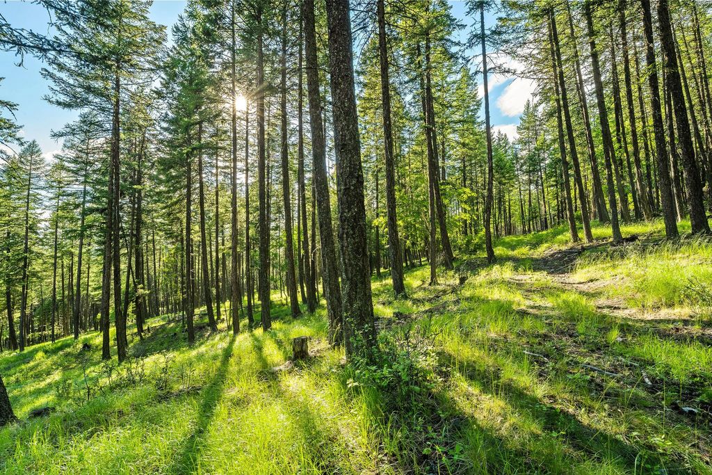 2750 Big Mountain Road, Whitefish, MT 59937 photo 106