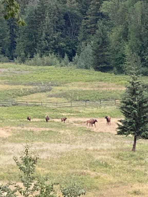 2750 Big Mountain Road, Whitefish, MT 59937 photo 127