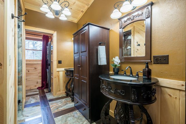 339 Birdseye View, Blue Ridge, GA 30513