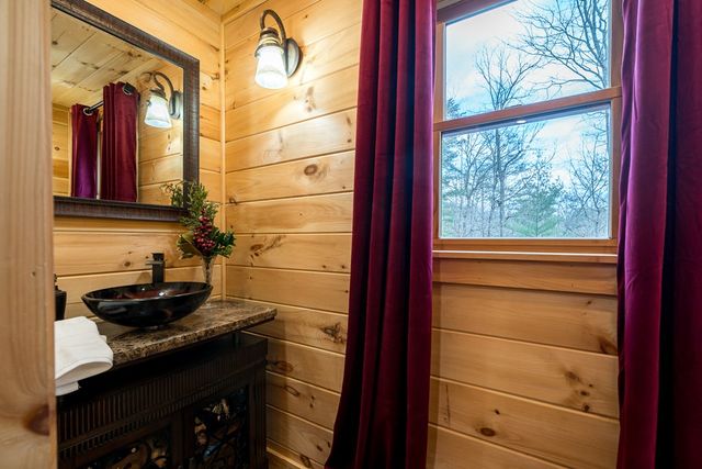 339 Birdseye View, Blue Ridge, GA 30513