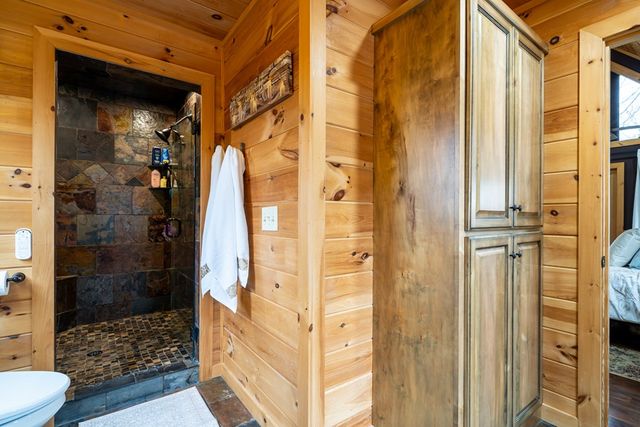 339 Birdseye View, Blue Ridge, GA 30513