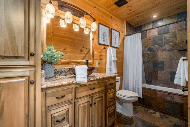 339 Birdseye View, Blue Ridge, GA 30513