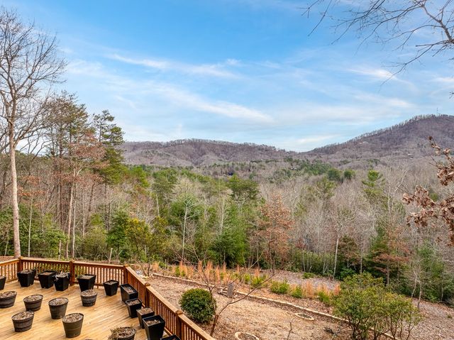 339 Birdseye View, Blue Ridge, GA 30513