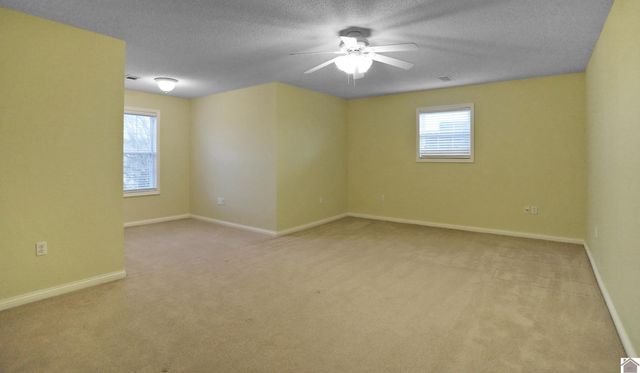 93 North Dr, Almo, KY 42020