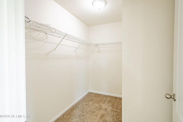 2165 PEBBLE POINT Drive, Green Cove Springs, FL 32043