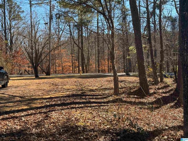 20 SHELL LANE, Sylacauga, AL 35150