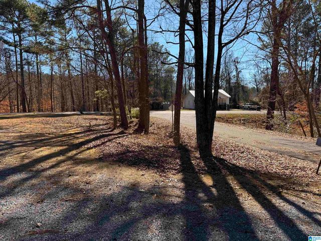 20 SHELL LANE, Sylacauga, AL 35150