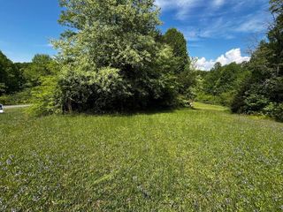 00000 Virgilina Circle, Cana, VA 24317