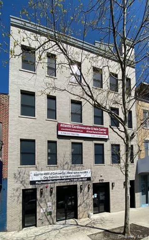 777 Coney Island Avenue 4B, Brooklyn, NY 11218