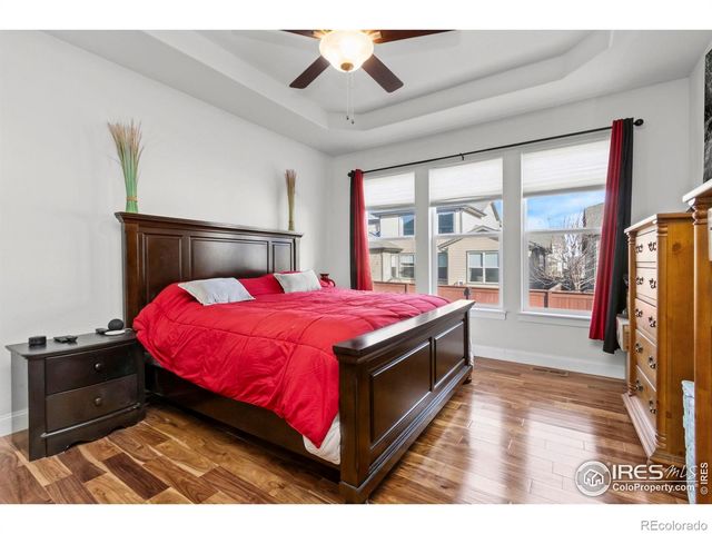 2093 Gather Court, Windsor, CO 80550