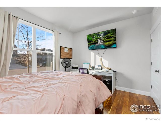 2093 Gather Court, Windsor, CO 80550