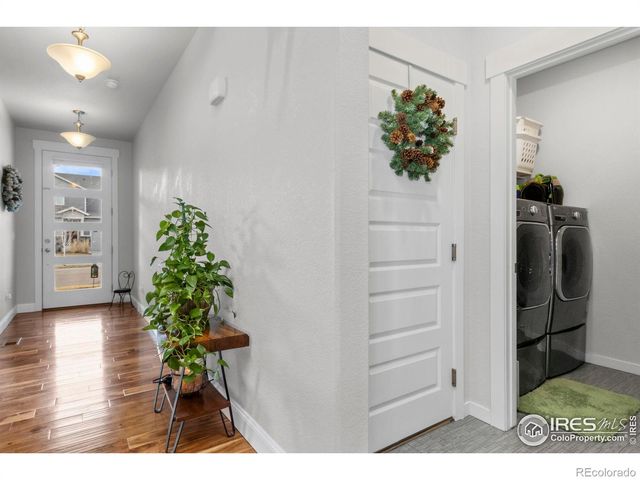 2093 Gather Court, Windsor, CO 80550