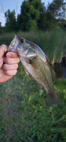 771 HCR 2233, West, TX 76691