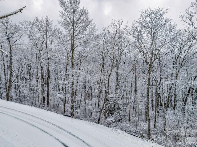 LT D54 Springwater Road D54, Glenville, NC 28736