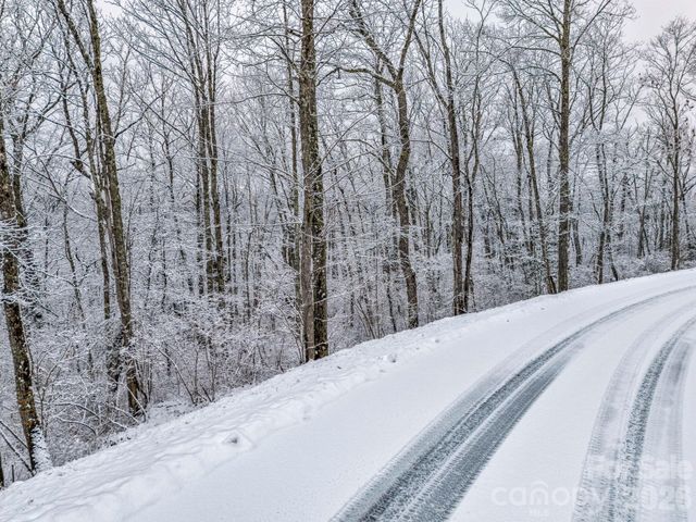 LT D54 Springwater Road D54, Glenville, NC 28736