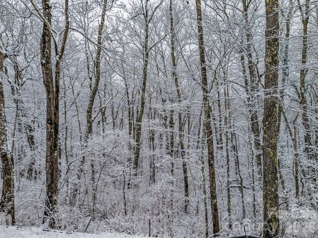 LT D54 Springwater Road D54, Glenville, NC 28736