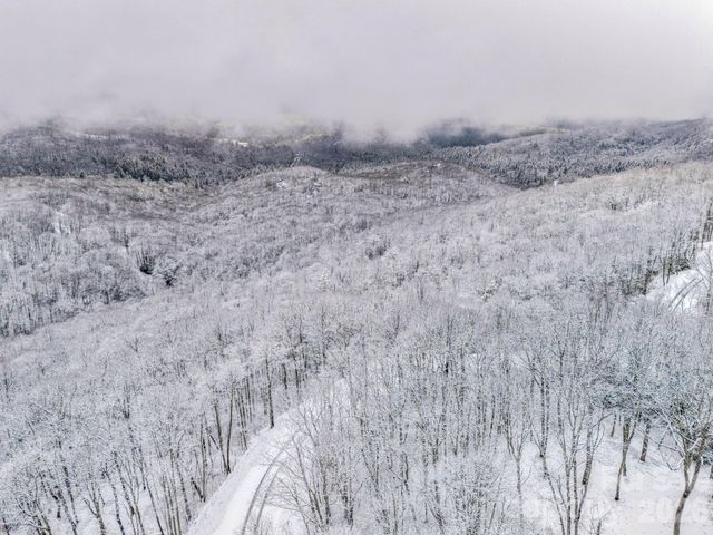 LT D54 Springwater Road D54, Glenville, NC 28736