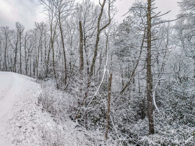 LT D54 Springwater Road D54, Glenville, NC 28736