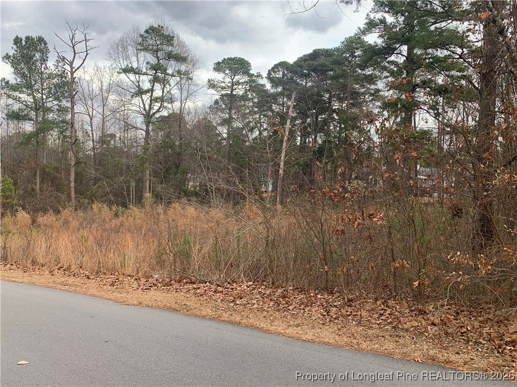 0 brookridge Drive, Cameron, NC 28326 — photo 2